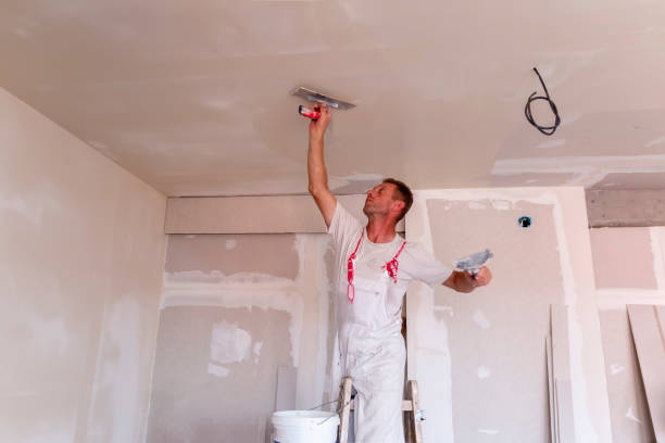 Trusted Wolfe City, TX Dry wall and painting Experts